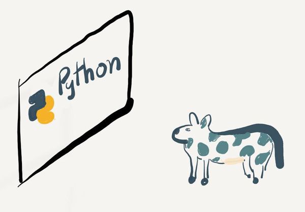 Why I love Python so much